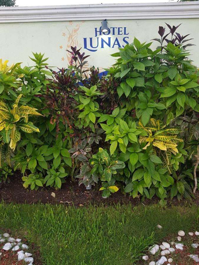 Hotel Lunas Bacalar Exterior photo